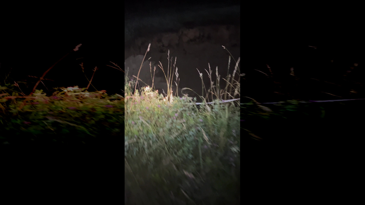file_thumbnail