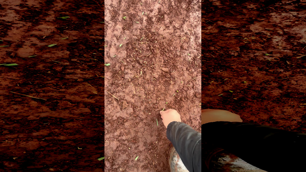 file_thumbnail