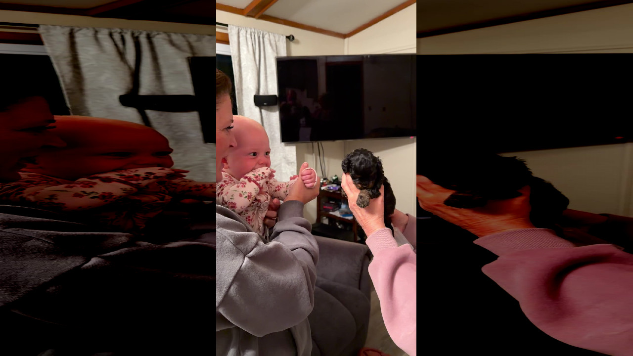 file_thumbnail