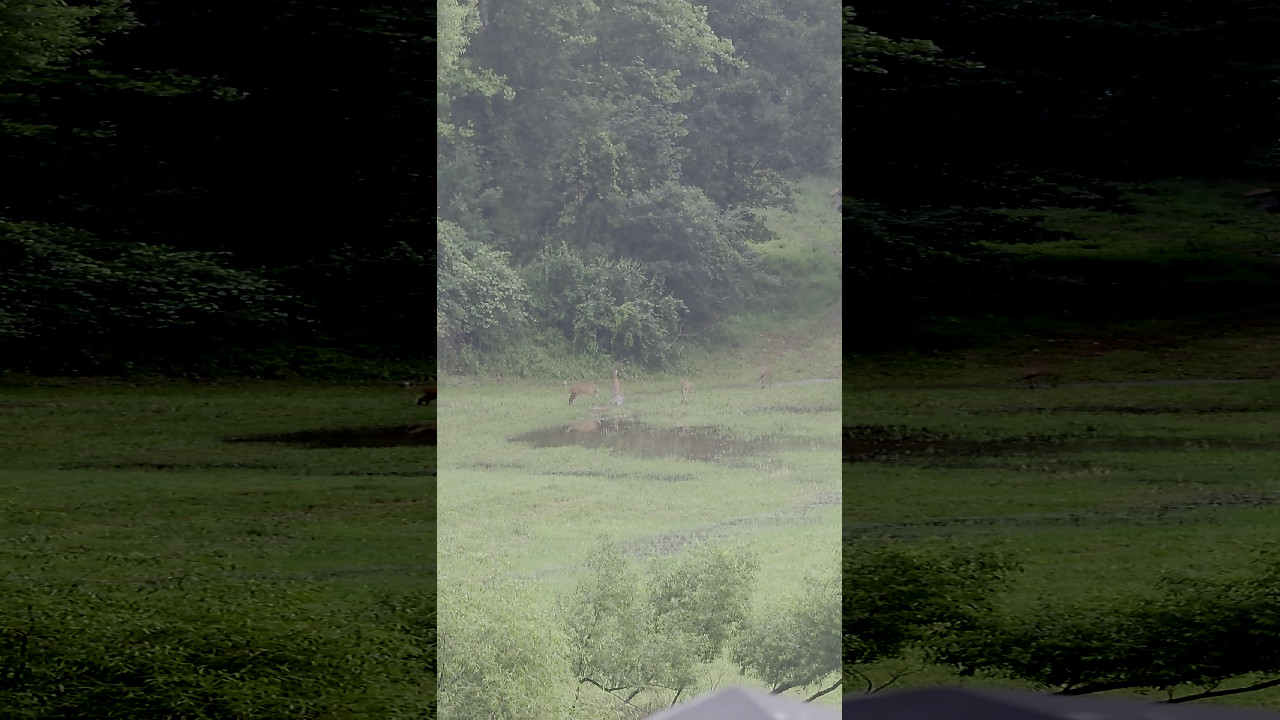 file_thumbnail