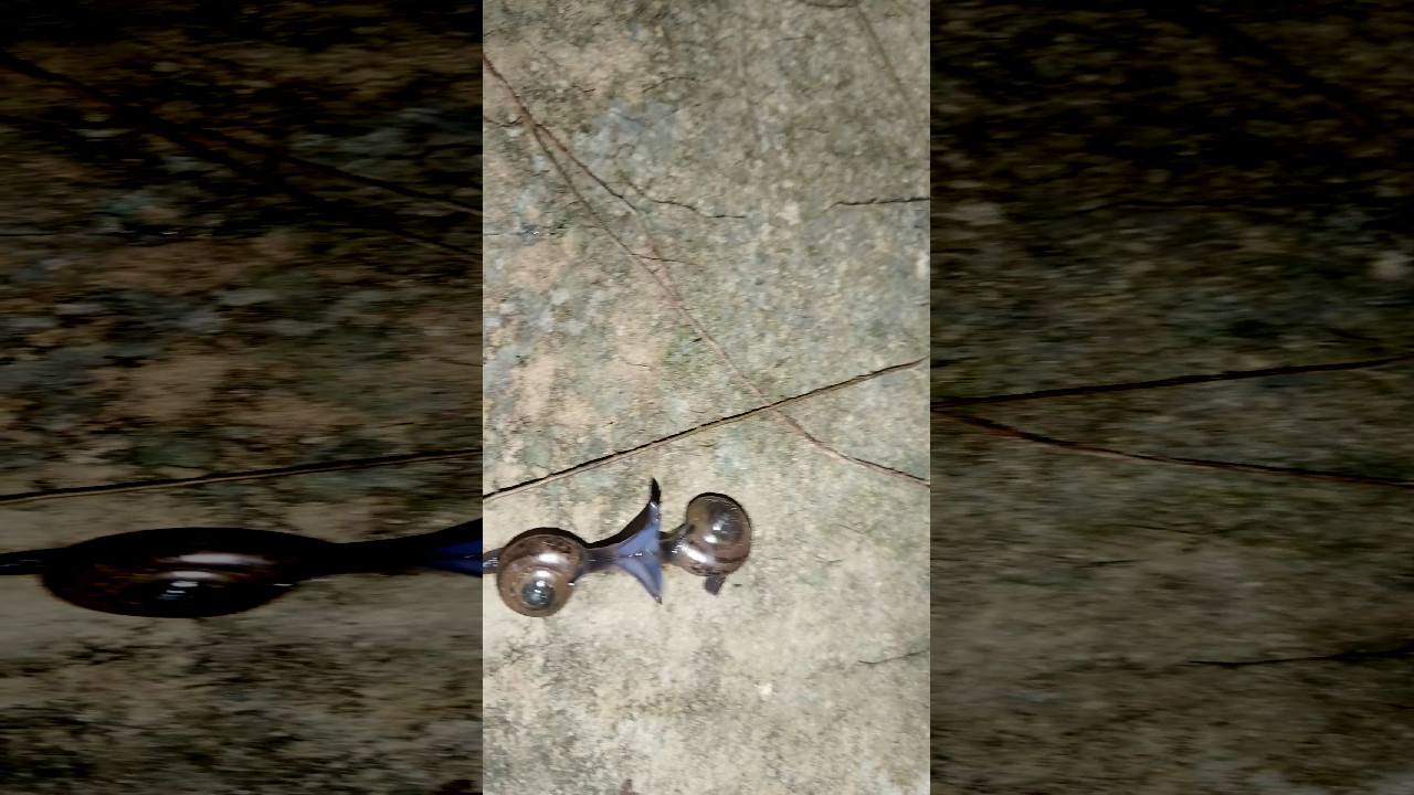 file_thumbnail
