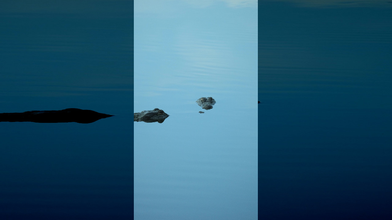 file_thumbnail