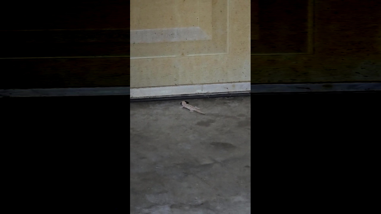 file_thumbnail