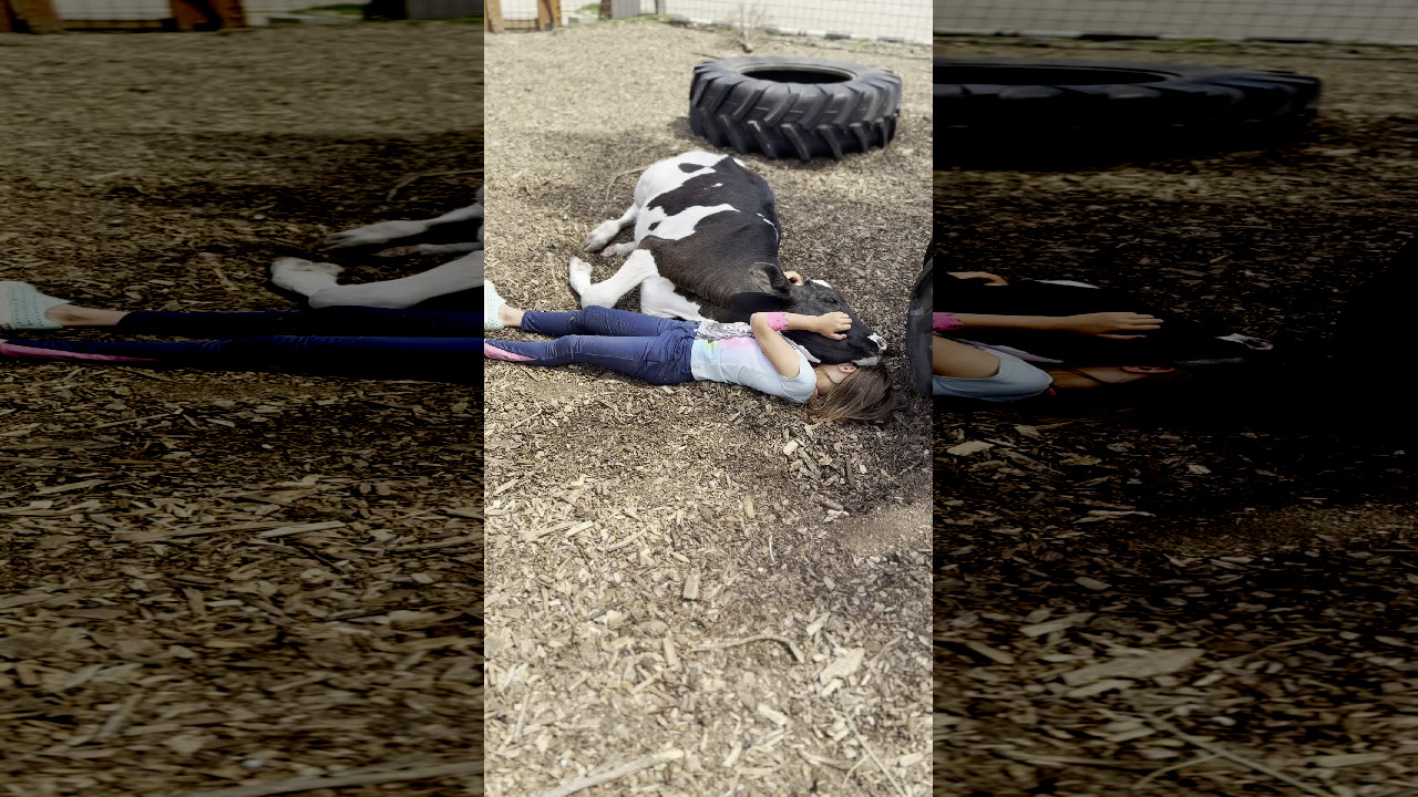 file_thumbnail