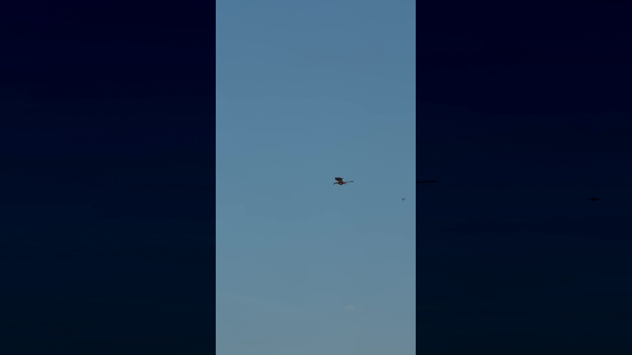 file_thumbnail