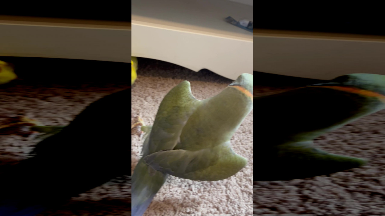 file_thumbnail