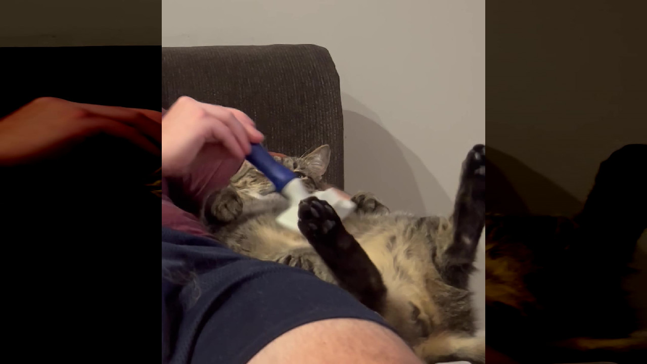 file_thumbnail