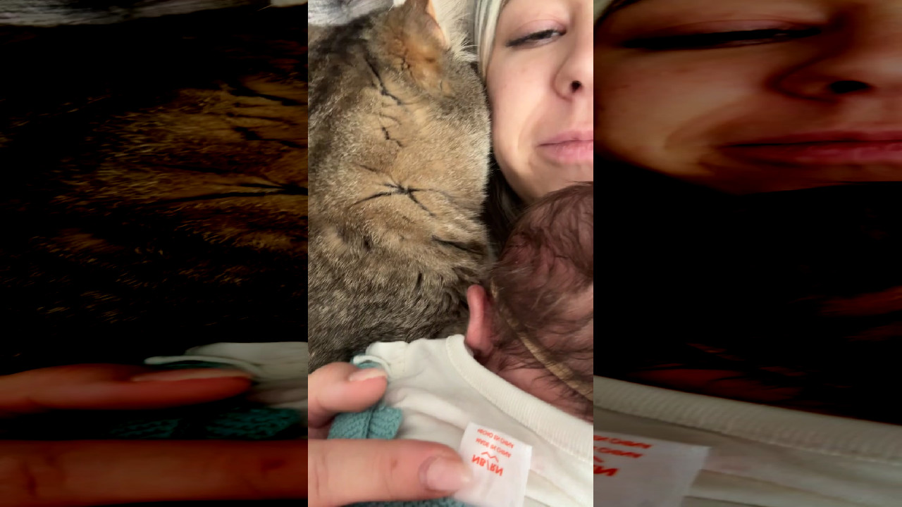 file_thumbnail