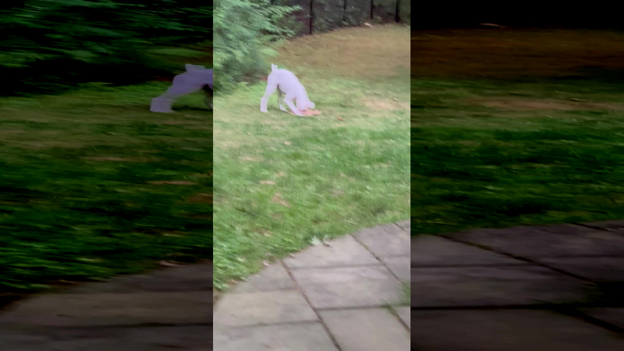 file_thumbnail