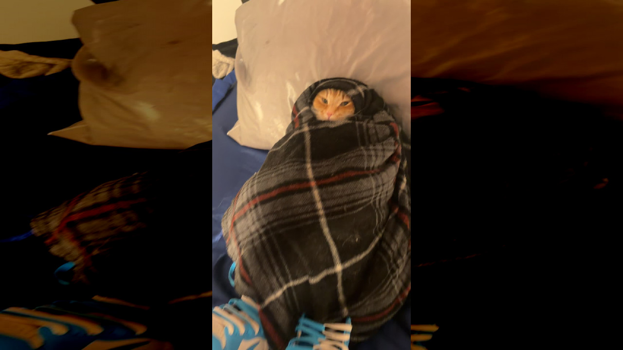 file_thumbnail