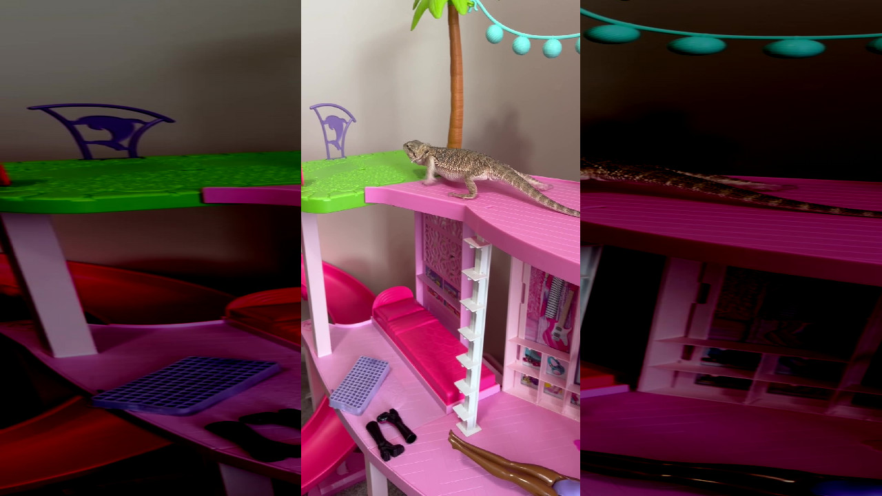 file_thumbnail