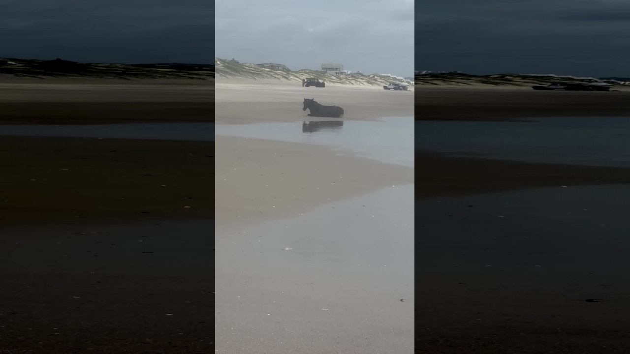 file_thumbnail