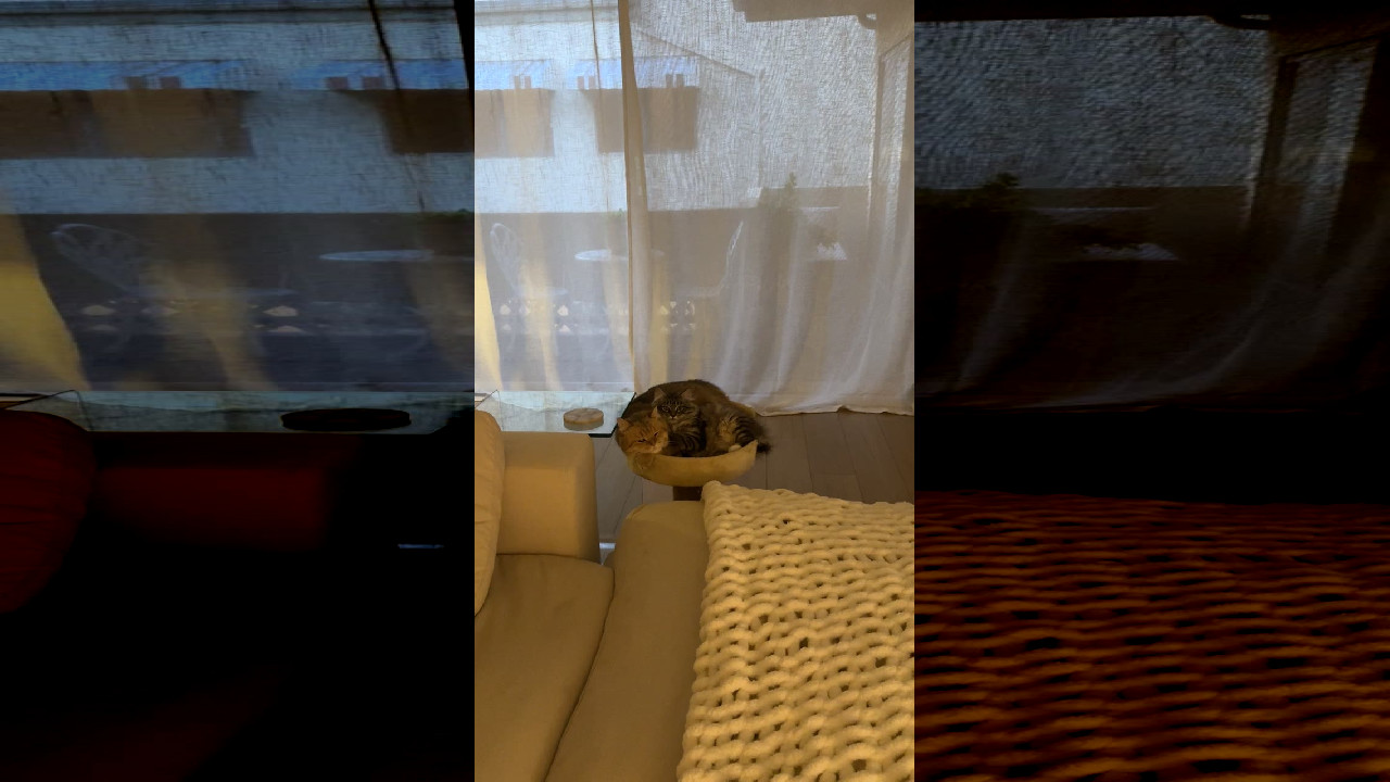 file_thumbnail