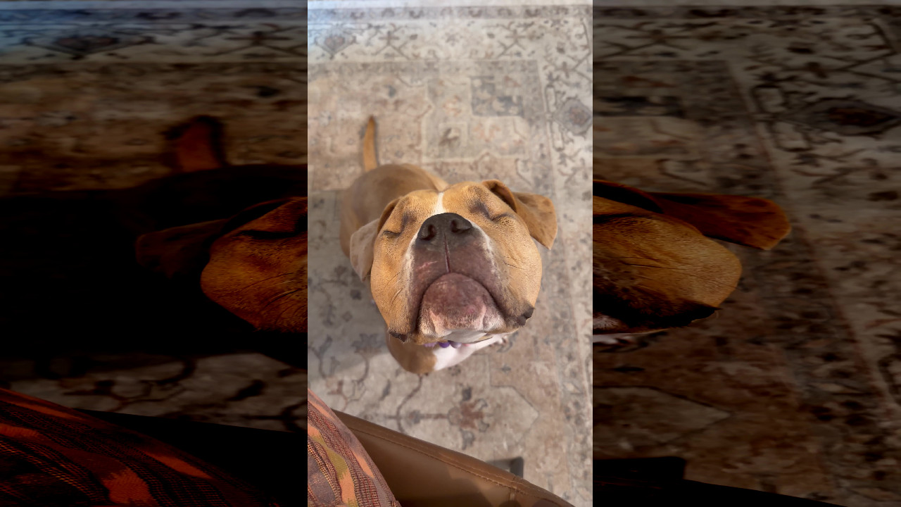 file_thumbnail