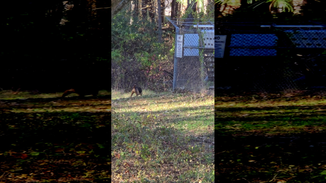 file_thumbnail