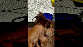 file_thumbnail
