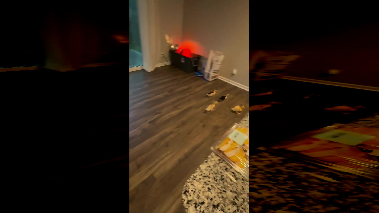 file_thumbnail