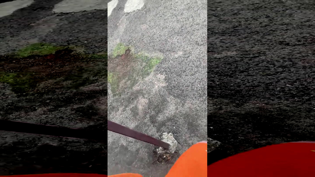 file_thumbnail