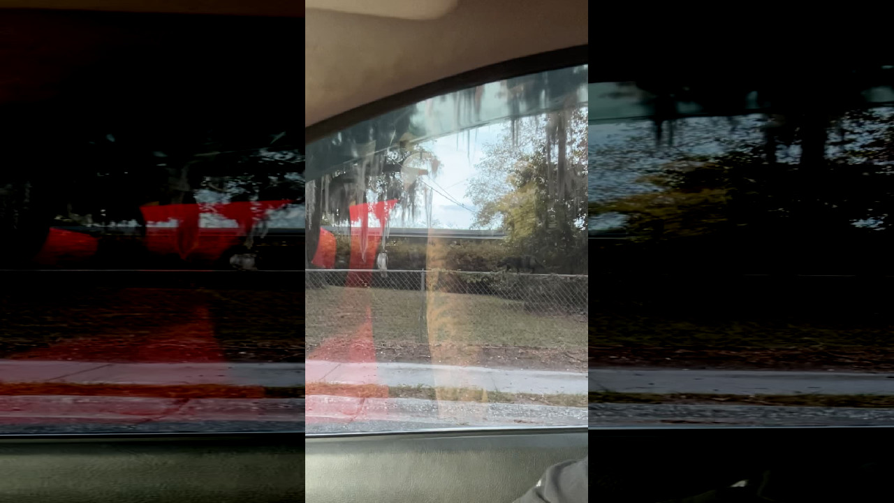 file_thumbnail