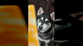 file_thumbnail
