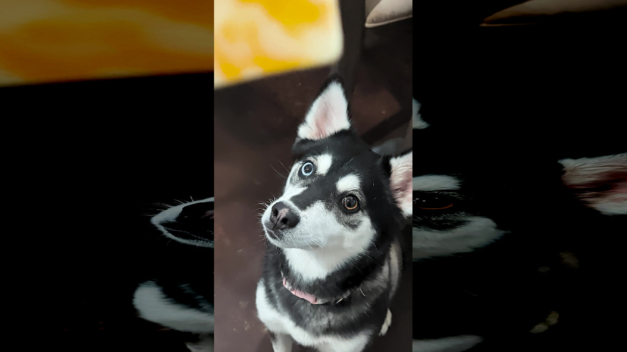 file_thumbnail