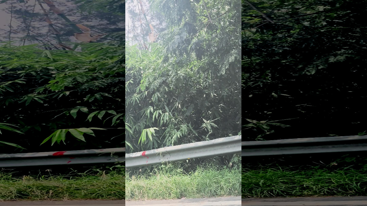 file_thumbnail