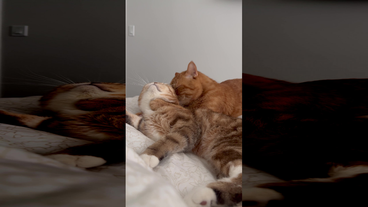 file_thumbnail