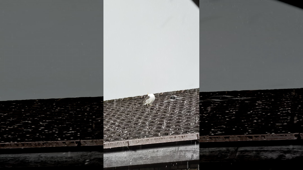 file_thumbnail
