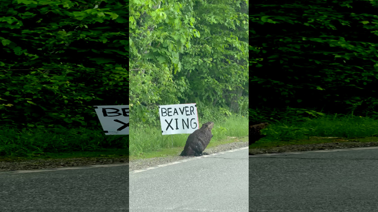 file_thumbnail