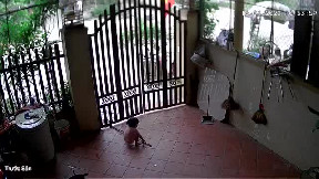 file_thumbnail