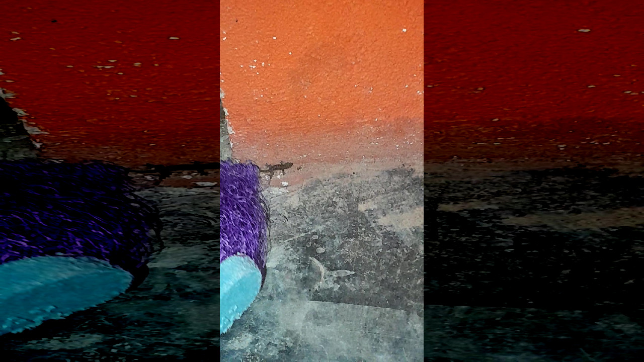 file_thumbnail