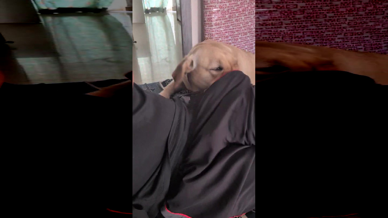 file_thumbnail