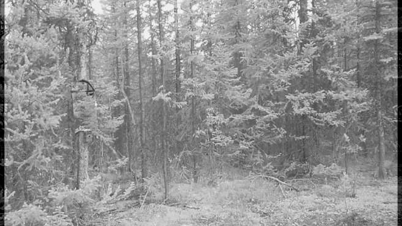 file_thumbnail