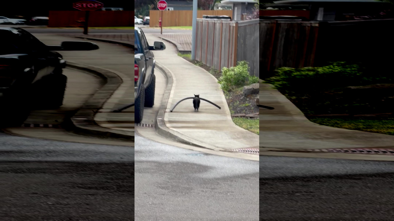 file_thumbnail