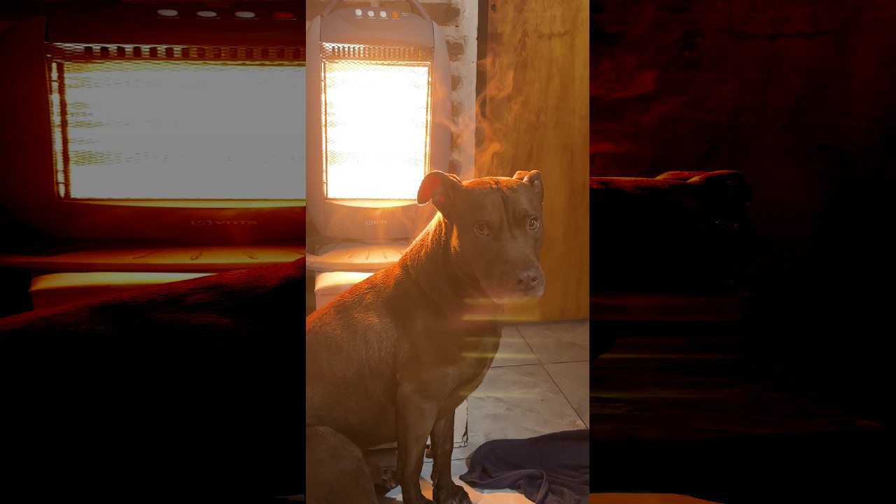 file_thumbnail