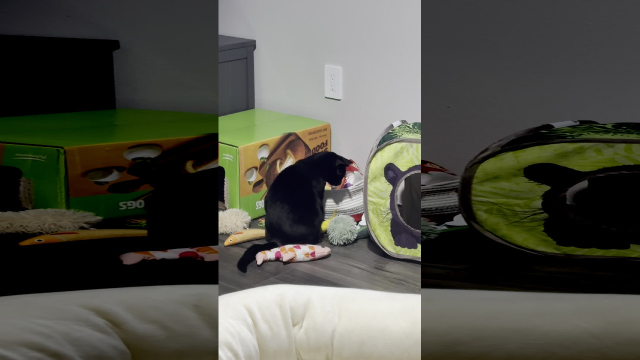 file_thumbnail