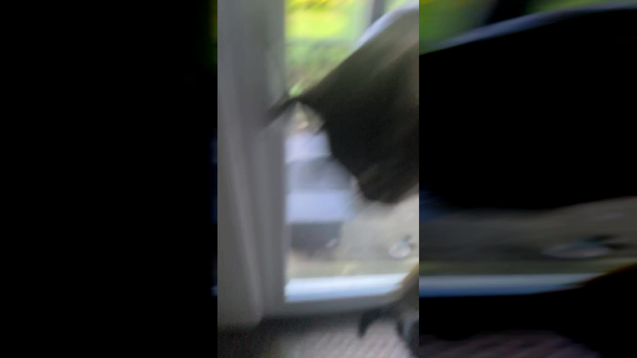 file_thumbnail