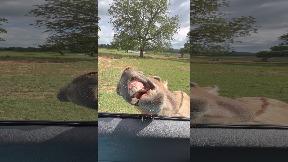 file_thumbnail