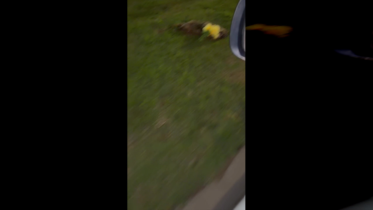 file_thumbnail