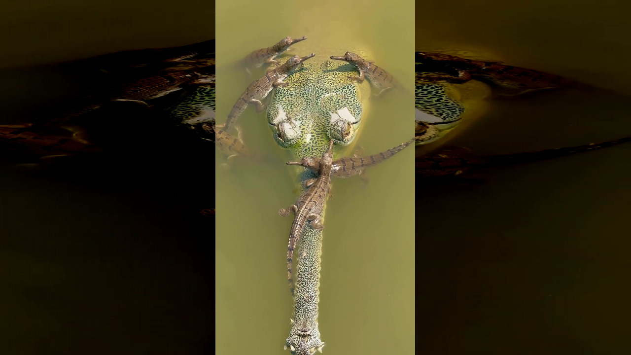 file_thumbnail