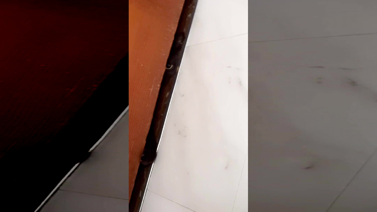file_thumbnail