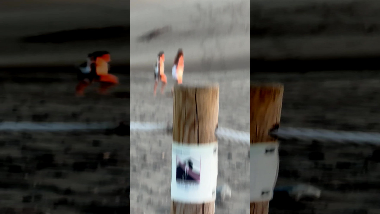 file_thumbnail