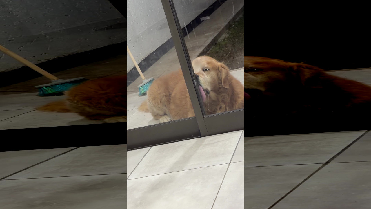 file_thumbnail