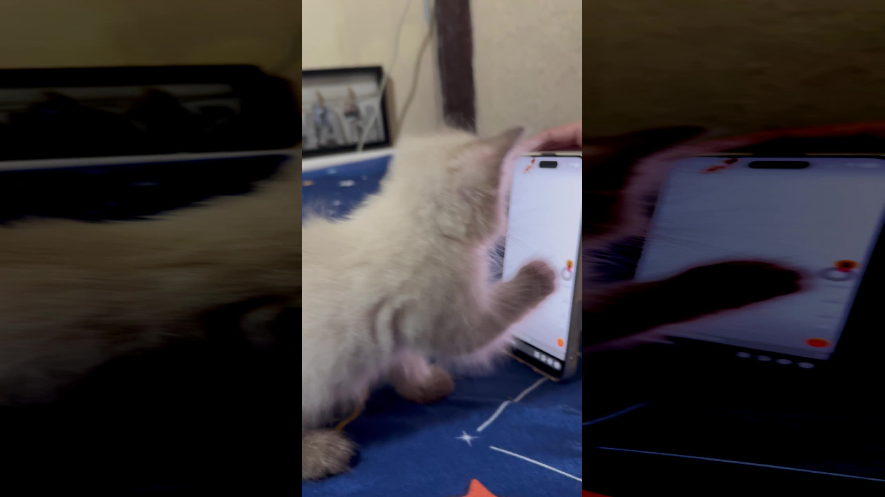 file_thumbnail