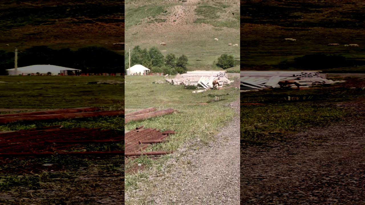 file_thumbnail