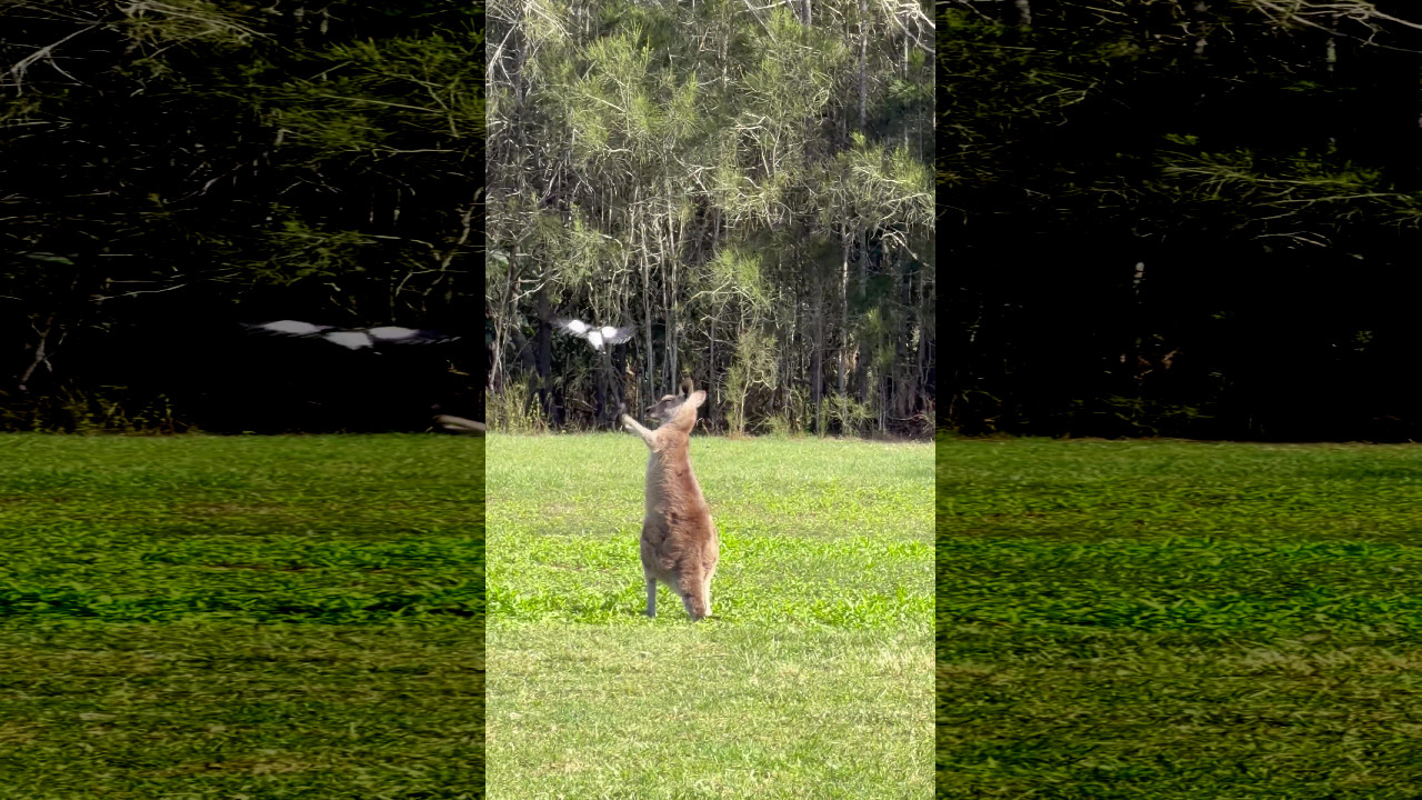 file_thumbnail