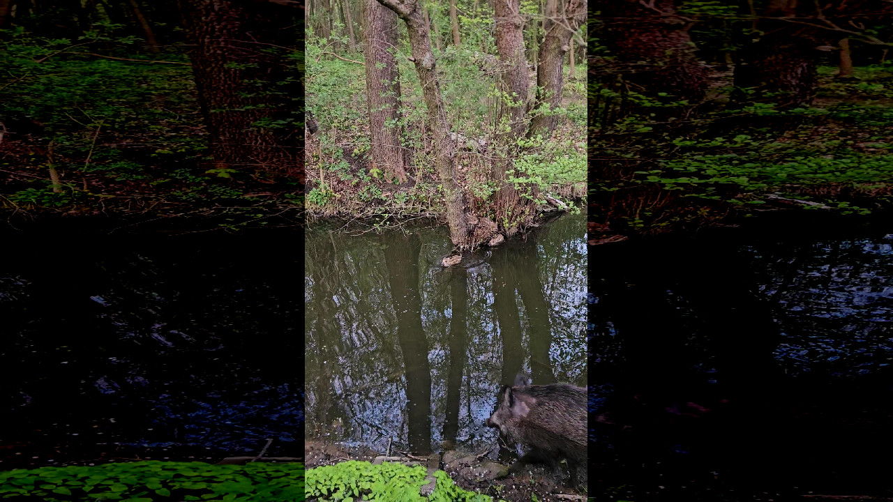 file_thumbnail