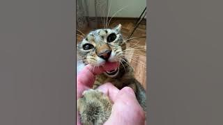 file_thumbnail