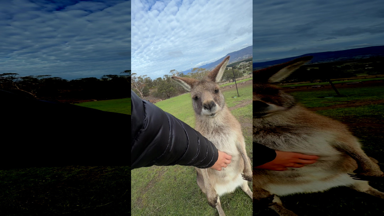 file_thumbnail