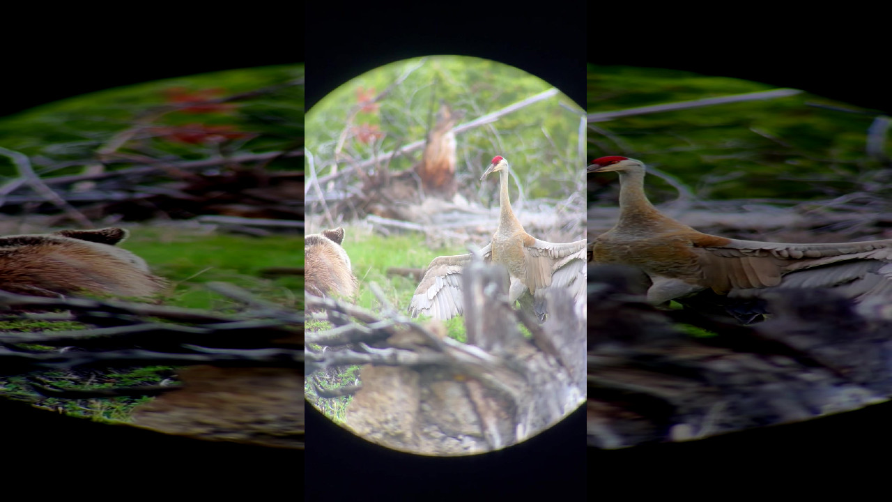 file_thumbnail